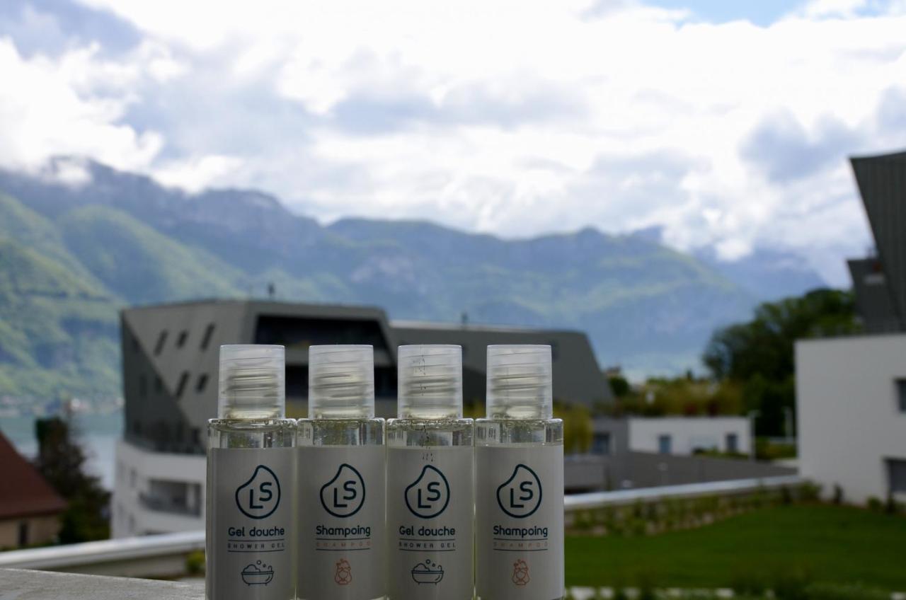View Point Lake And Mountains Annecy Exterior foto